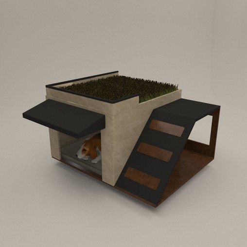 Modern Dog house