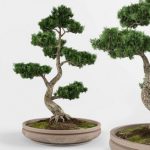 Bonsai decorative tree 01