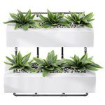 Showcase Office Plants Execuflora Air Purifying