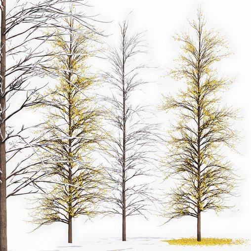 Real Tree Maidenhair Ginkgo Biloba Winter