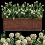 Outdoor Plant Set 001 – Plant Box