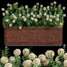 Outdoor Plant Set 001 - Plant Box
