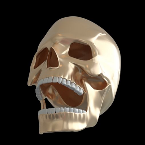 Skull