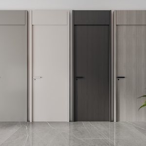 Modern door