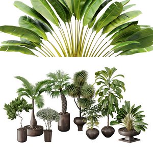 Decorative set of all kinds of shrubs with pots