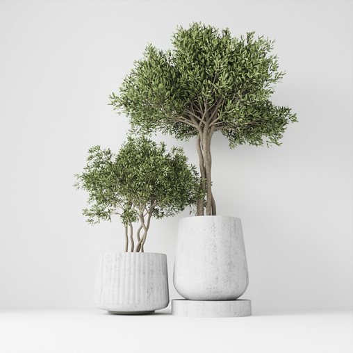 Plant pot indoor 3d model Download  Buy 3dbrute
