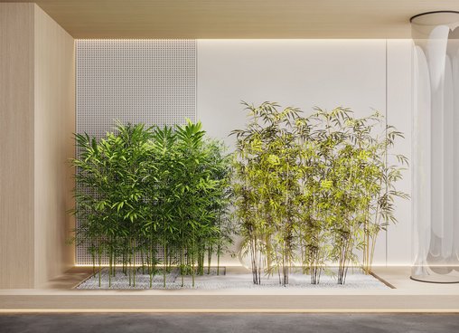 modern plants