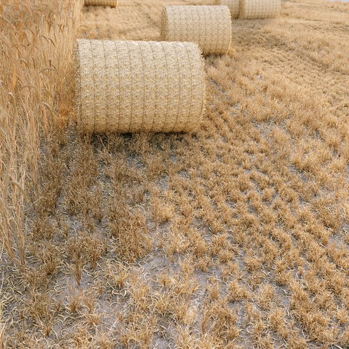 HQ Grass Round Hay Bale Farm Ground