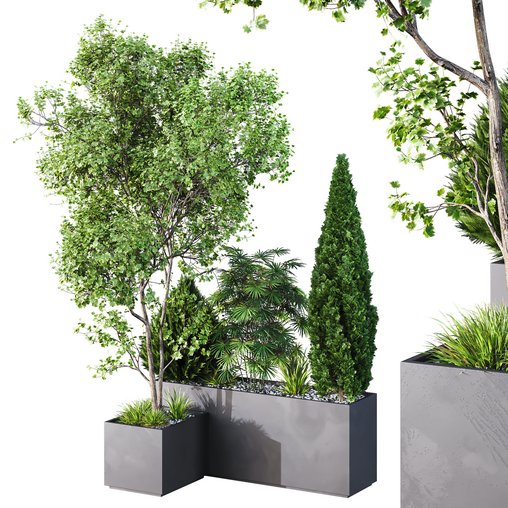 HQ Tree and bush garden box outdoor VOL 03