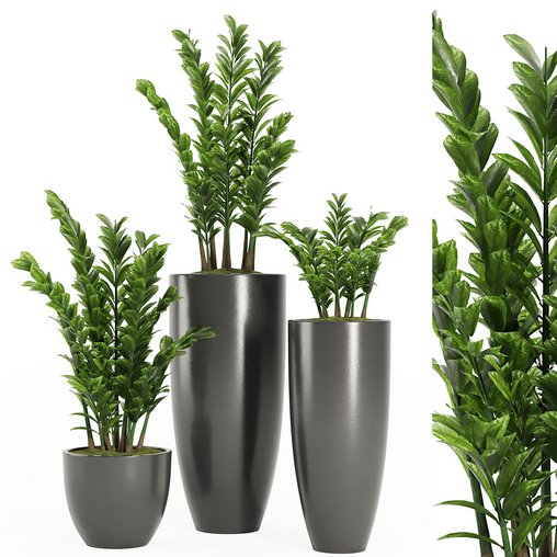 Indoor Plant Set V4