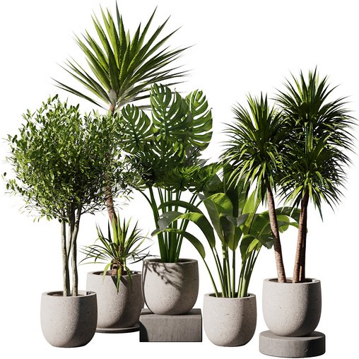 Indoor Plant Set V35