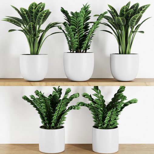 Plants on Shelf SetV3