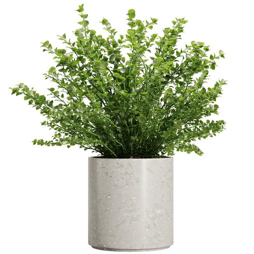 Oregano Bouquet V1