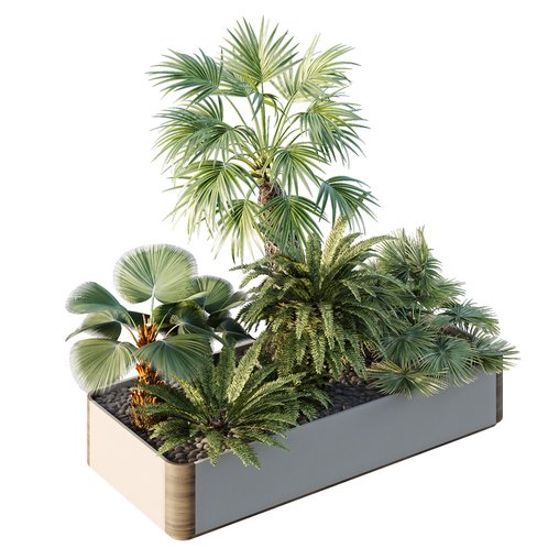 HQ Tree and bush garden box outdoor VOL 12