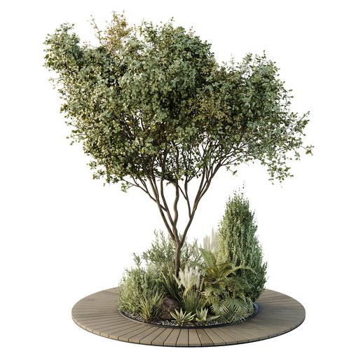 HQ Tree and bush garden box outdoor VOL 16