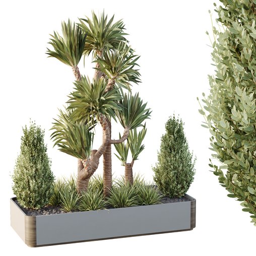 HQ Tree and bush garden box outdoor VOL 25