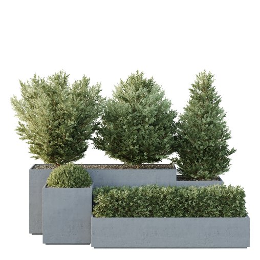 HQ Tree and bush garden box outdoor VOL 27