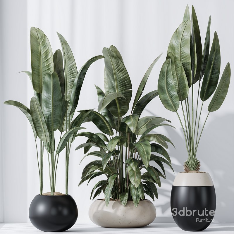 HQ Plants Bird Of ParadiseBird Vase Set06 3d model Buy Download 3dbrute