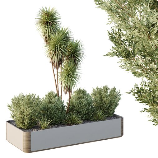 HQ Tree and bush garden box outdoor VOL 24