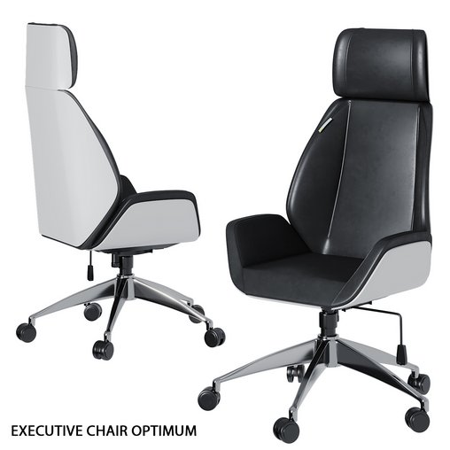 Office Chair-EXECUTIVE CHAIR OPTIMUM 01