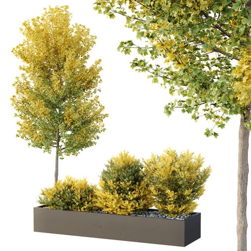 HQ Tree and bush garden box outdoor VOL 42