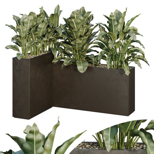 HQ Tree and bush garden box outdoor VOL 38