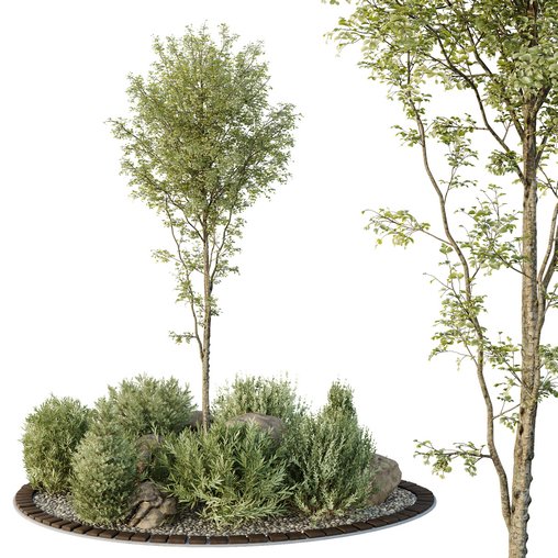 HQ Tree and bush garden box outdoor VOL 40