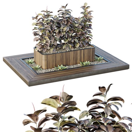 HQ Tree and bush garden box outdoor VOL 33