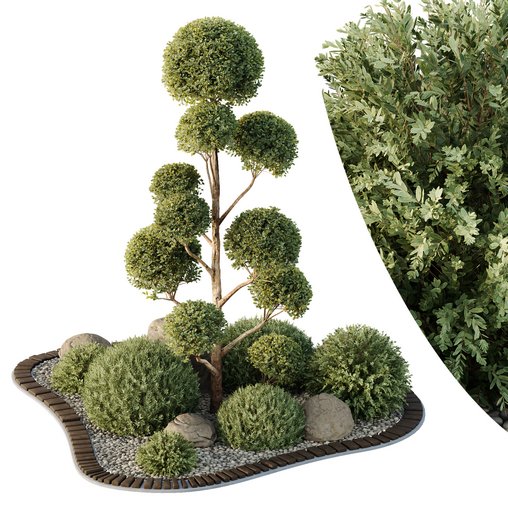 HQ Tree and bush garden box outdoor VOL 41