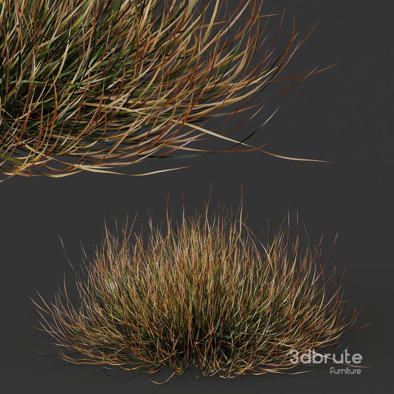 fall bush-6 different bush 3d model Buy Download 3dbrute
