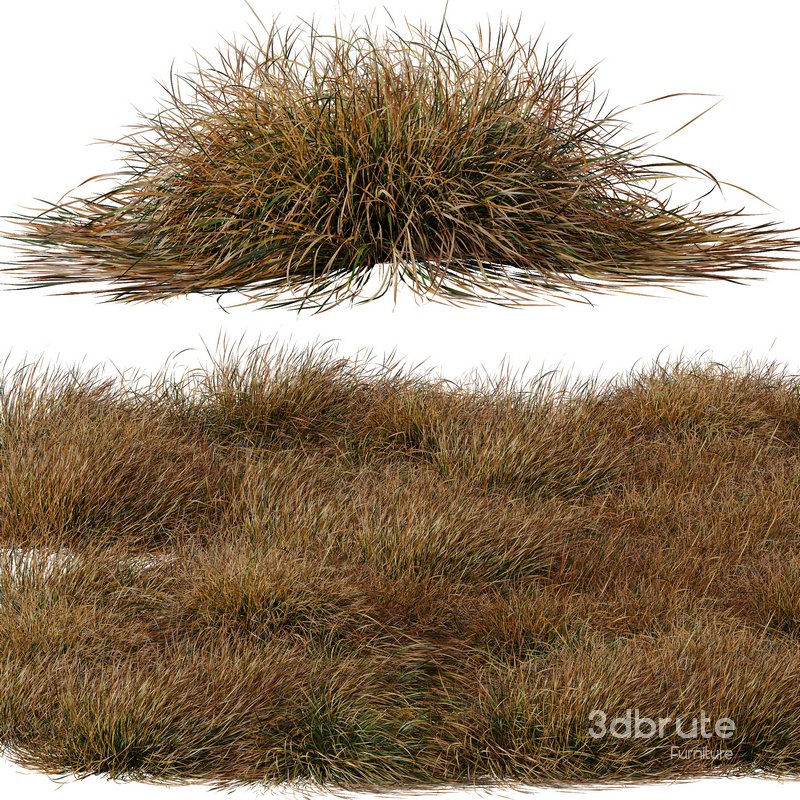 fall bush-6 different bush 3d model Buy Download 3dbrute