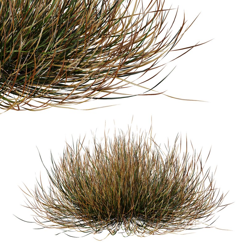 fall bush-6 different bush 3d model Buy Download 3dbrute