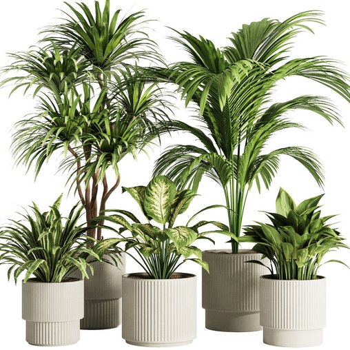 Indoor Plant Set52