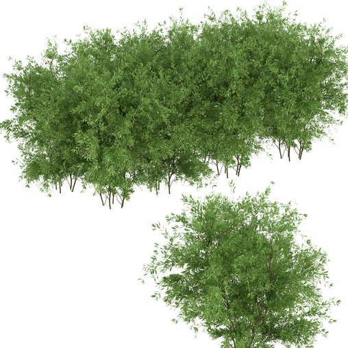 bfdi Grass Asset - Download Free 3D model by romyblox1234 [04cfd0f