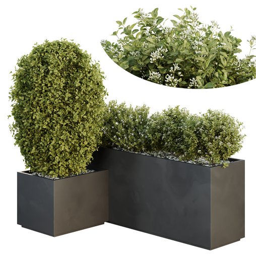 HQ Tree and bush garden box outdoor VOL 46