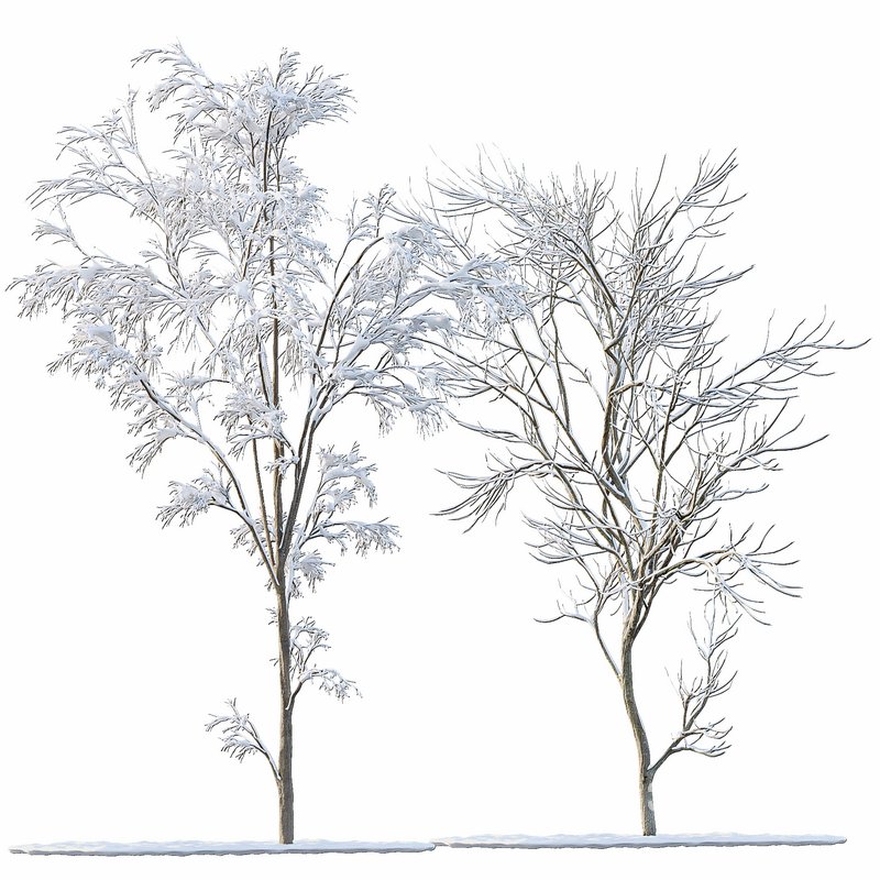 Winter Snow Tree 01