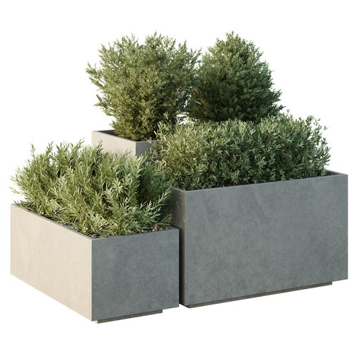 HQ Tree and bush garden box outdoor VOL 52