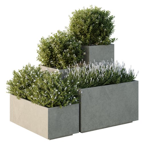 HQ Tree and bush garden box outdoor VOL 51