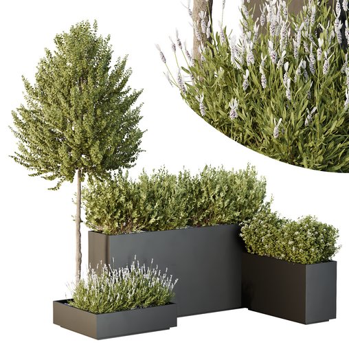 HQ Tree and bush garden box outdoor VOL 50