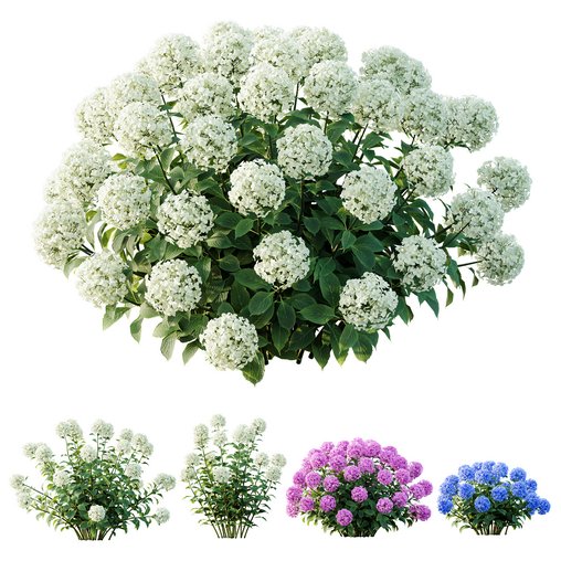 HQ Plants Smooth Wild Hydrangea Arborescens Annabelle