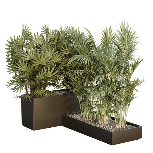 HQ Tree and bush garden box outdoor VOL 44