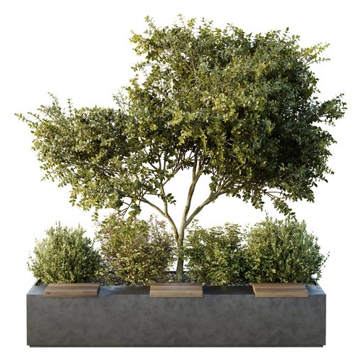 HQ Tree and bush garden box outdoor VOL 54