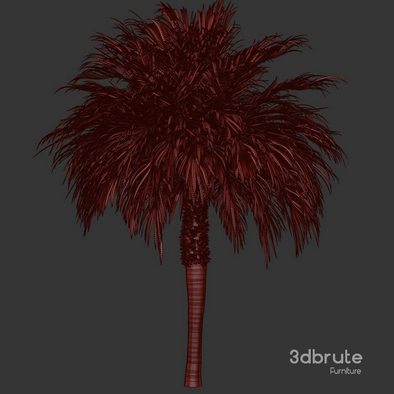 Palm tree3 3d model Buy Download 3dbrute