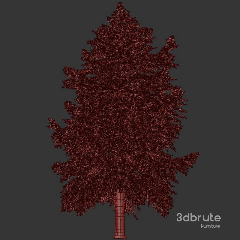 Pine Tree Conifer 3d model Buy Download 3dbrute
