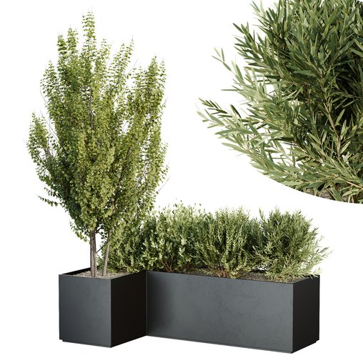 HQ Tree and bush garden box outdoor VOL 57