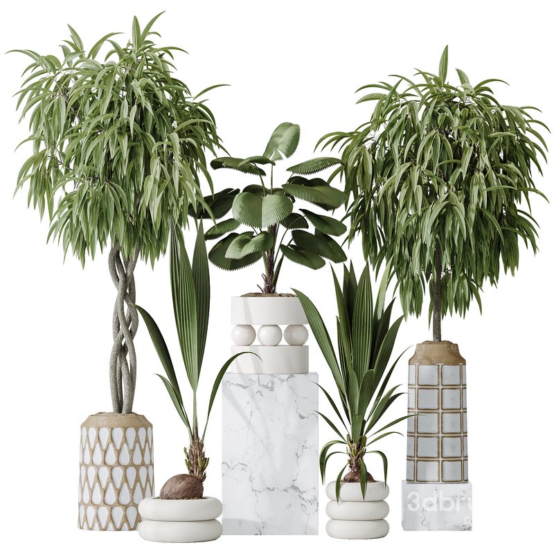 Indoor plant set 01