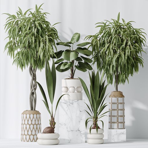 Indoor plant set 01