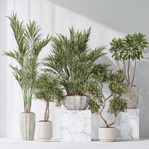 Indoor plant set 03