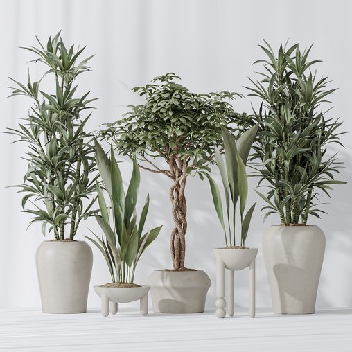 Indoor plant set 06