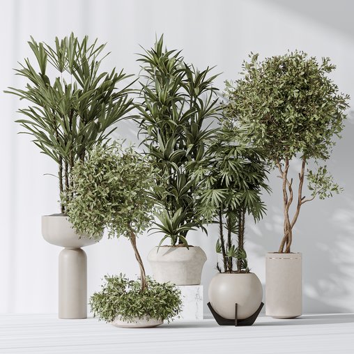 Indoor plant set 02